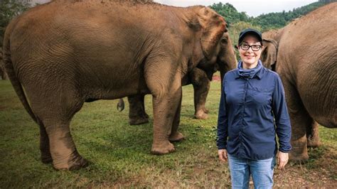 chanel 5 in chiang mai|Sue Perkins: Lost in Thailand .